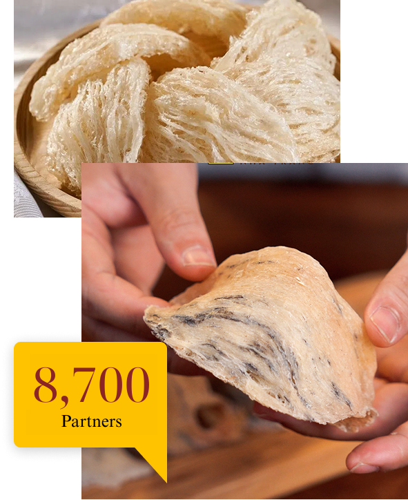 Đôi nét Yến Sào Happy Foods Đôi nét Yến Sào Happy Foods